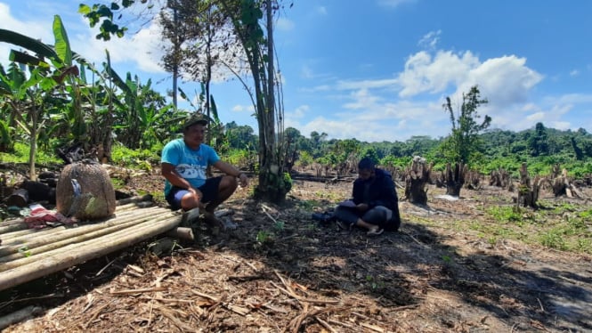 Petani di Desa Kabupaten Berau, Kalimantan Timur. 