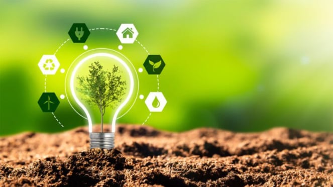 Ecoverse implementa energías renovables