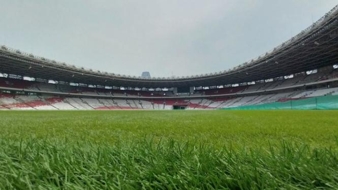 Kondisi terkini rumput Stadion Utama Gelora Bung Karno, Jakarta.