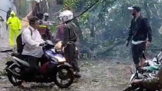 Hujan Deras Berjam-jam, Depok Dilanda Banjir hingga Pohon Tumbang