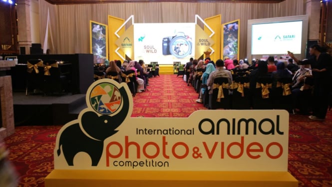 International Photo & Video Animal Contest 2024.