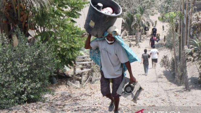 Seorang pengungsi Desa Klatanlo, kecamatan Wulanggitang, Kabupaten Flores Timur, Nusa Tenggara Timur (NTT), saat mengamankan barang rumah miliknya untuk dibawa ke kerabatnya di Larantuka, Jumat, 15 November 2024.