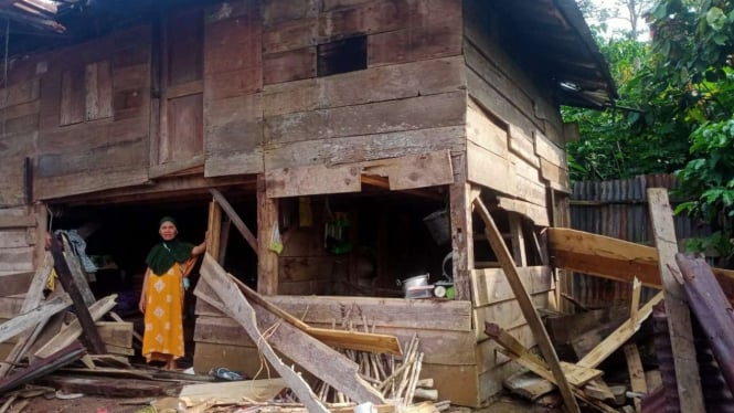 Rumah Warga di Lampung Barat Rusak Diserang Kawanan Gajah