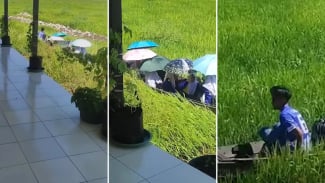 Viral Sekolah Berada di Atas Rawa, Para Siswa Gunakan Perahu Demi Bisa Belajar