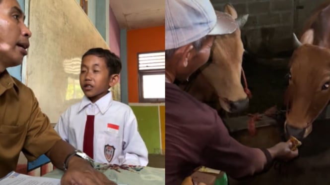 Viral! Guru Tidak Percaya Sapi Makan Martabak, Siswa Ini Buktikan Sendiri