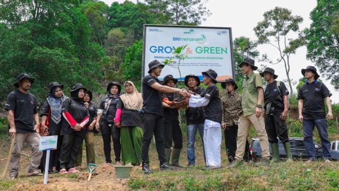 Selamatkan lingkungan bersama BRI Menanam Grow & Green