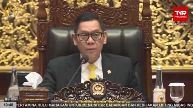 Wakil Ketua DPR RI Adies Kadir saat memimpin rapat paripurna, Selasa, 19 November 2024 (sumber: YouTube DPR RI)