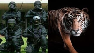 Misteri Detasemen Harimau, Pasukan yang Disebut-sebut Paling Ditakuti dan Lebih Hebat dari Kopassus