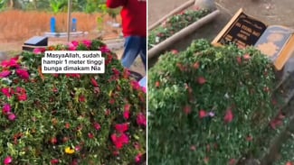 Viral Makam Nia Kurnia Sari Penuh Tumpukan Bunga dan Daun Pandan, Netizen Curiga karena....