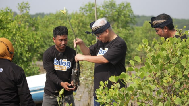 BUMN Perum Bulog Tanam 570 Bibit Bakau di Mangrove Arboretum Park Bali