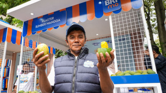 Diberdayakan BRI, Petani Mangga Bondowoso Mampu Perluas Lahan dan Tingkatkan Taraf Hidup