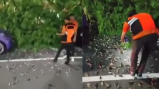 Viral Ratusan Burung Pipit Mati Mendadak di Bandara Ngurah Rai Bali, Ternyata Ini Penyebabnya