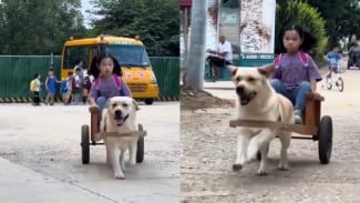 Gemas, Anak Ini Dijemput Anjing Peliharaannya Setiap Pulang Sekolah Jadi Viral di Media Sosial