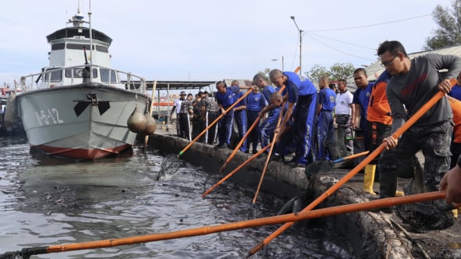 VIVA Militer: Lanal Tegal ajak Masyarakat Bersih-bersih Laut