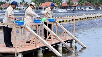 Prabowo Guarantees Indonesia to Stop Rice Imports by 2025