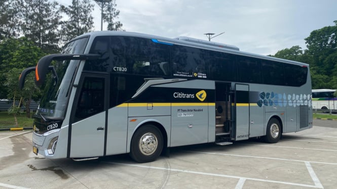 Armada Cititrans Busline, Bluebird Group