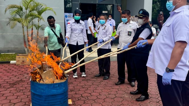 Petugas bakar ganja sitaan dari dalam lapas narkotika Jayapura.