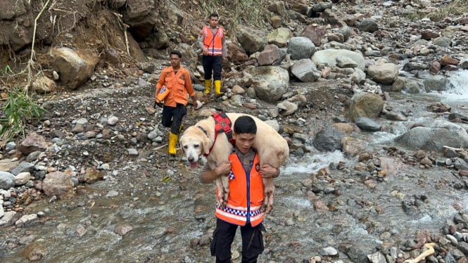 Tim SAR gabungan mencari korban banjir bandang di Kabupaten Deliserdang.