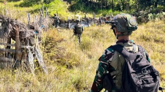 VIVA Militer: Pasukan Buaya Putih Kostrad TNI kejar OPM