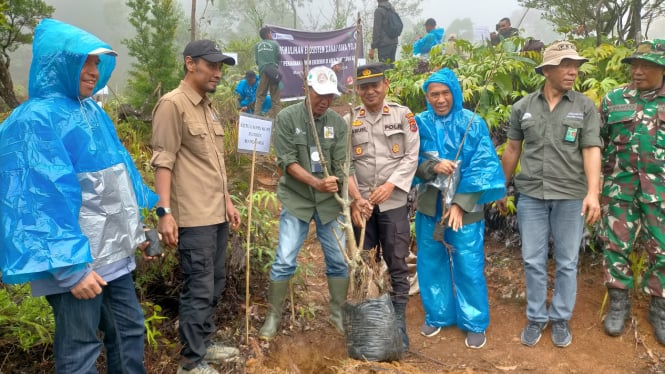 Kegiatan menanam pohon endemik di kawasan hutan TWA Rana Poja Manggarai Timur.