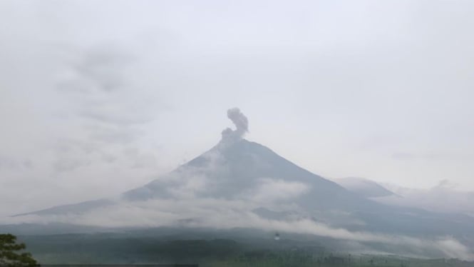 Gunung Semeru erupsi pada Sabtu sore, 14 Desember 2024.