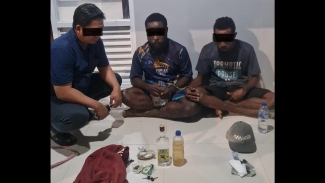 Bea Cukai Merauke Lancarkan Dua Operasi Penindakan Ganja di Perbatasan