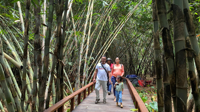 Jembatan kayu di kawasan Hutan Bambu Desa Panglipuran 