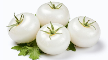 White Tomato