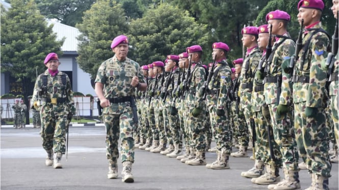 VIVA Militer: Danpasmar 1 Brigjen TNI (Mar) Umar Farouq periksa kesiapan pasukan