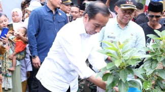 Jokowi Kagum Lihat Produk Alpukat dan Gula Aren saat Kunjungi Desa Peron