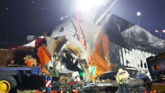 Menara Kontrol Bandara Peringatkan Tabrakan Burung 6 Menit sebelum Jeju Air Jatuh