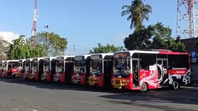 Layanan transportasi umum di Bali, Trans Metro Dewata 