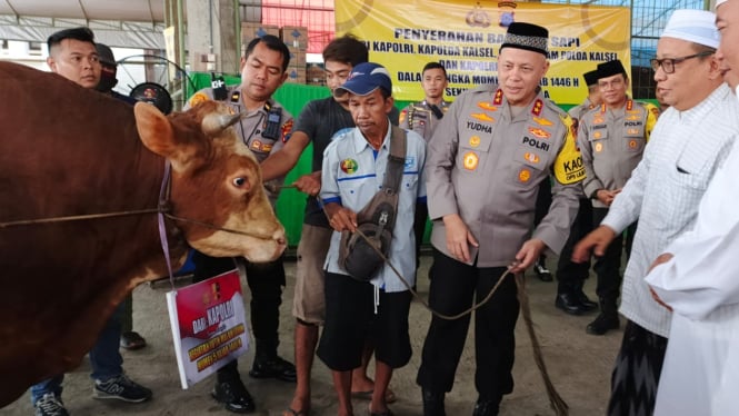 Kapolda Kalsel, Irjen Pol Rosyanto Yudha Hermawan menyerahkan sapi ke Imam Musala Ar-Raudhah Sekumpul KH Sa’duddin 