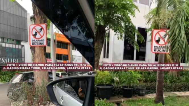 Warga Gading Kirana Pasang Plang Larangan Kasih Makan ke Kucing