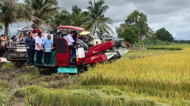 Menteri Koordinator Bidang Pangan RI, Zulkifli Hasan, saat meninjau panen padi di Kabupaten Desa Seri Meranti.