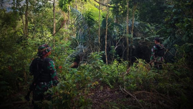 VIVA Militer: Prajurit Satgas Yonzipur 8/SMG di Hutan Long Midang