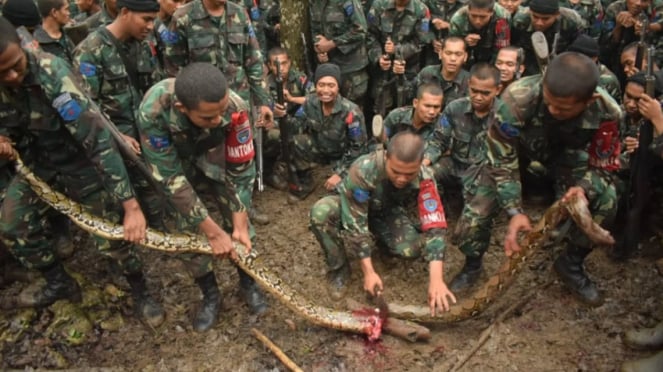 VIVA Militer: Prajurit Siswa Semata PK TNI AU A-88 Skadik 403 latihan bertahan hidup