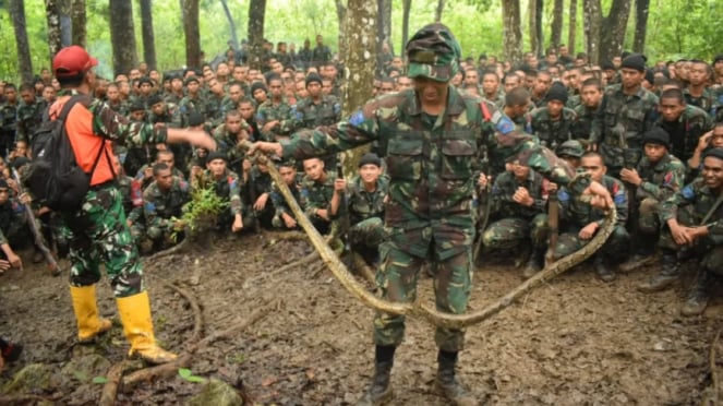 VIVA Militer: Prajurit Siswa Semata PK TNI AU A-88 Skadik 403 latihan bertahan hidup