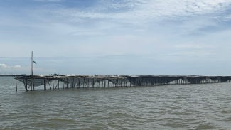 Terungkap Alasan Pagar Bambu di Laut Tangerang Belum Bisa Dibongkar