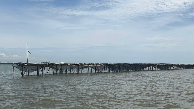 Kondisi pagar bambu yang mengitari wilayah laut di Kabupaten Tangerang