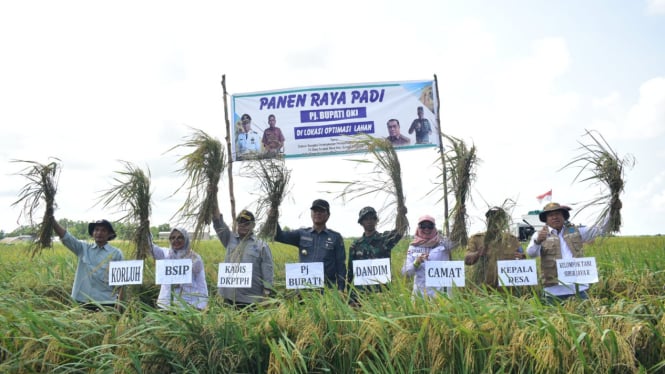 Kegiatan tanam perdana padi gogo di kebun sawit program PSR Desa Mulya Jaya, Kec. Mesuji Raya, OKI