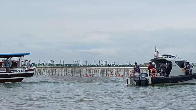 Proses pencabutan pagar bambu yang berada di laut tangerang oleh TNI AL dan nelayan