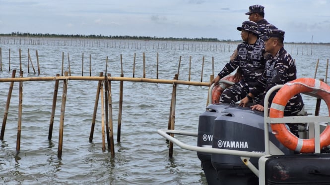 VIVA Militer: Danlantamal III Jakarta pimpin pembongkaran pagar laut misterius