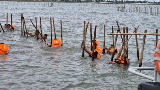 Kisruh Pagar Laut di Tangerang, KKP Malah Digugat Praperadilan