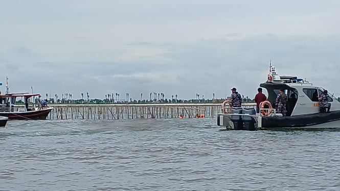 Proses pencopotan pagar bambu di laut tangerang