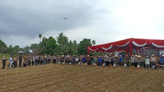 Dukung Program Swasembada Pangan Nasional, Sumbar Siapkan 24 Ribu Hektare Lebih untuk Lahan Jagung 