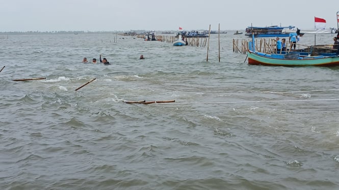 Proses pencabutan pagar bambu dengan kapal