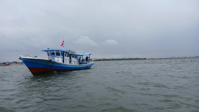 Kawasan pagar bambu di laut Tangerang yang akan di bongkar petugas 