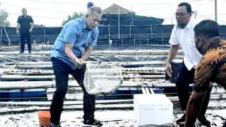 Panen Perdana Budidaya Ikan, Wamenkop Jadikan Koperasi di Muaragembong Percontohan