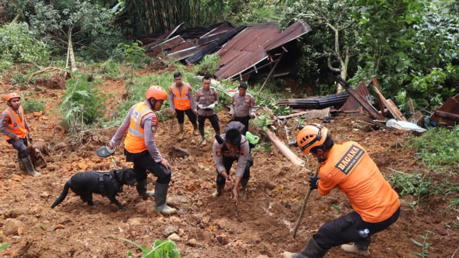 Anjing K9 ikut melakukan pencarian korban tanah longsor di Pekalongan (dok. Istimewa) 